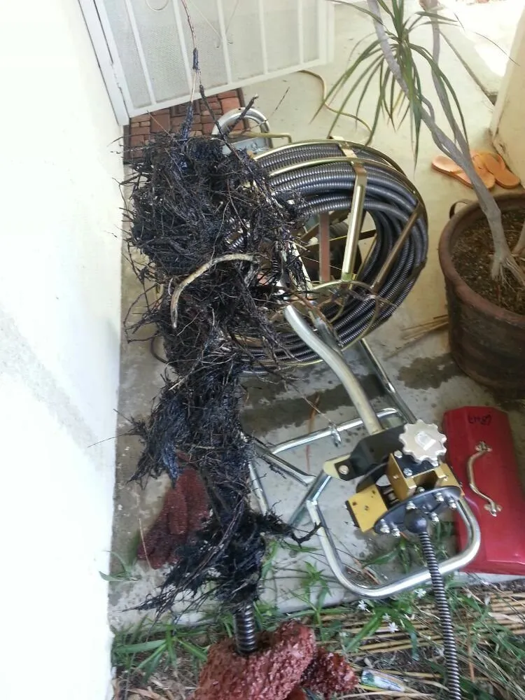 Quality drain cleaning service in Louisville, KY - CLMS Plumbing & Irrigation