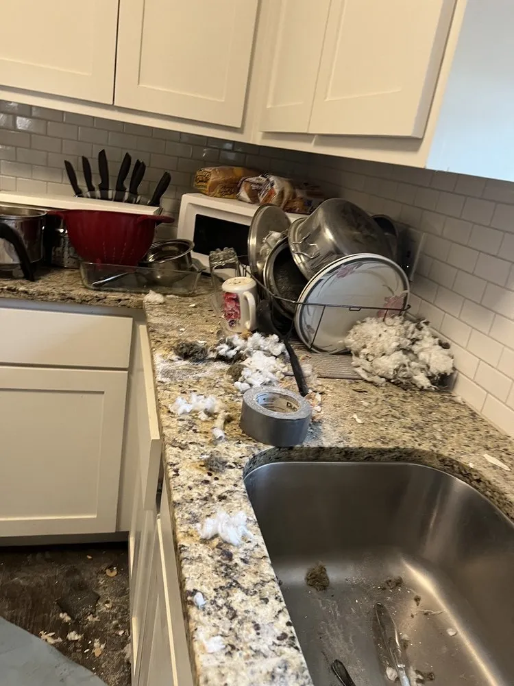 Slide of Clockwise Plumbing