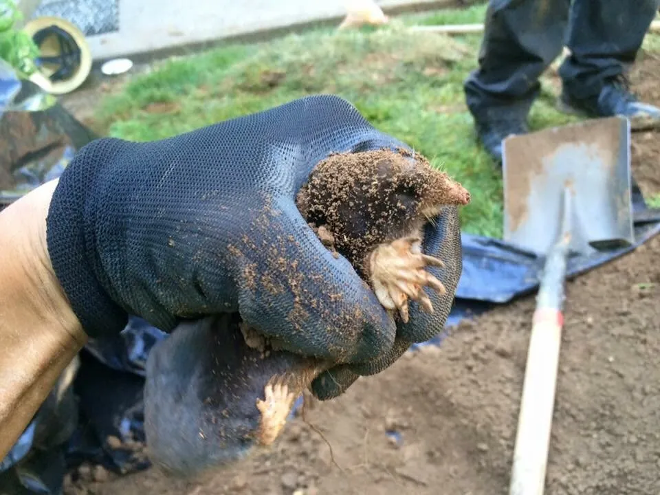 Slide of Clog Busters