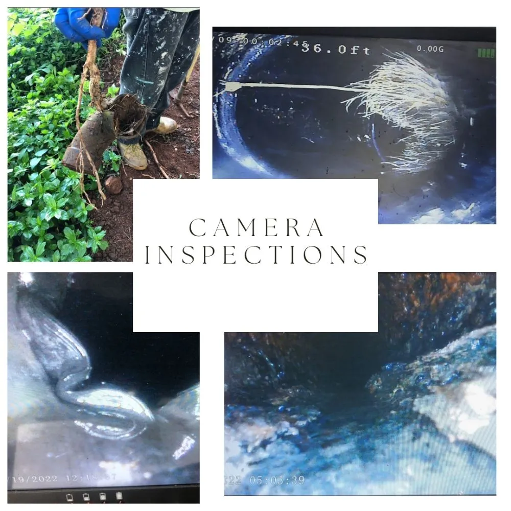 Slide of Clog Busters Kauai