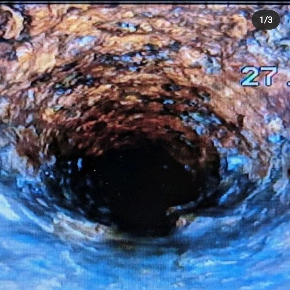 Slide of Clog Busters Kauai