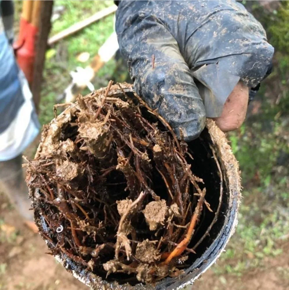 Slide of Clog Busters Kauai