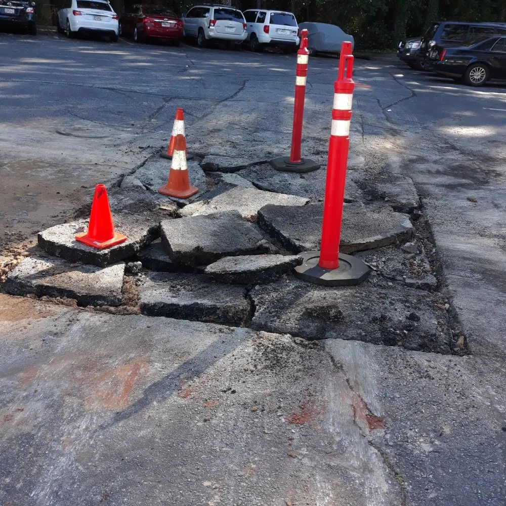 Slide of Clog Dog Digger