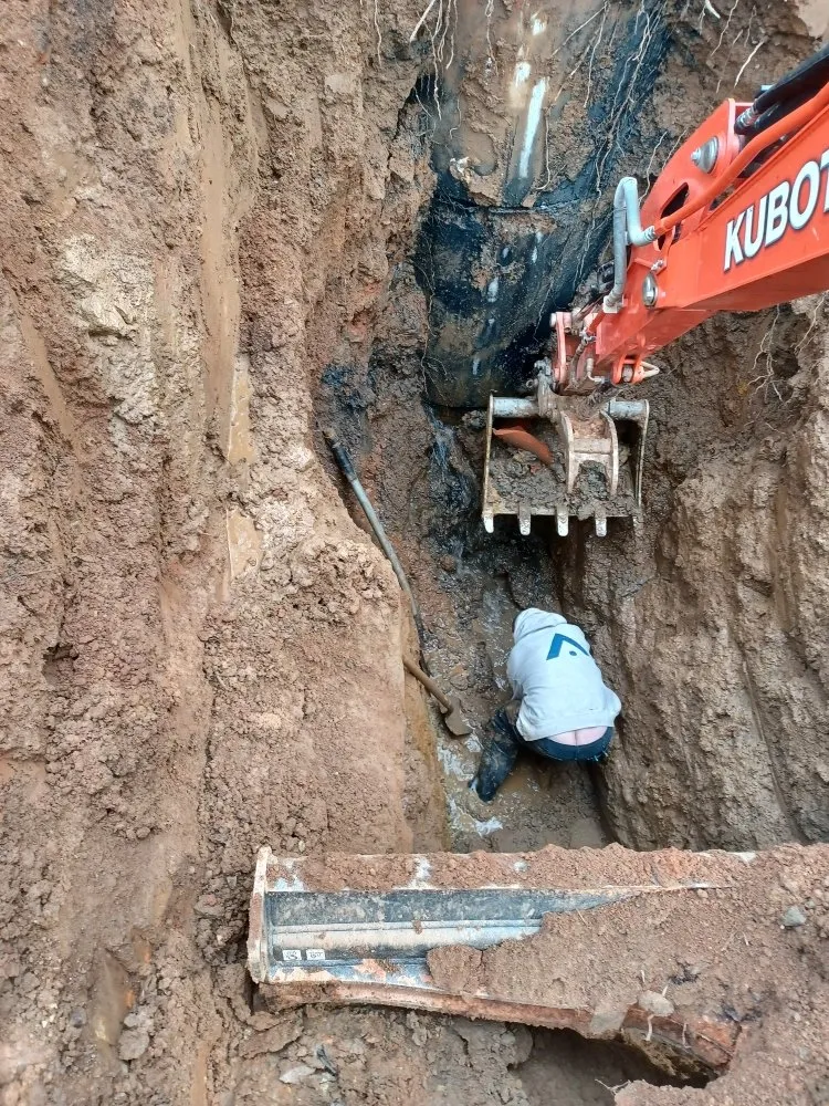 Slide of Clog Dog Digger