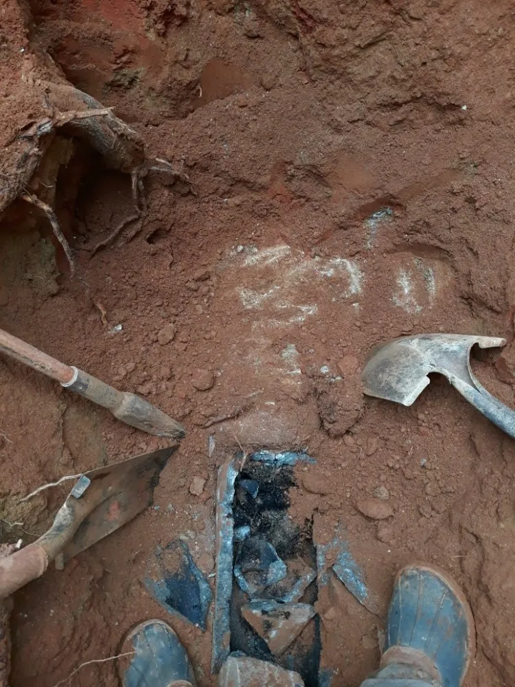 Slide of Clog Dog Digger