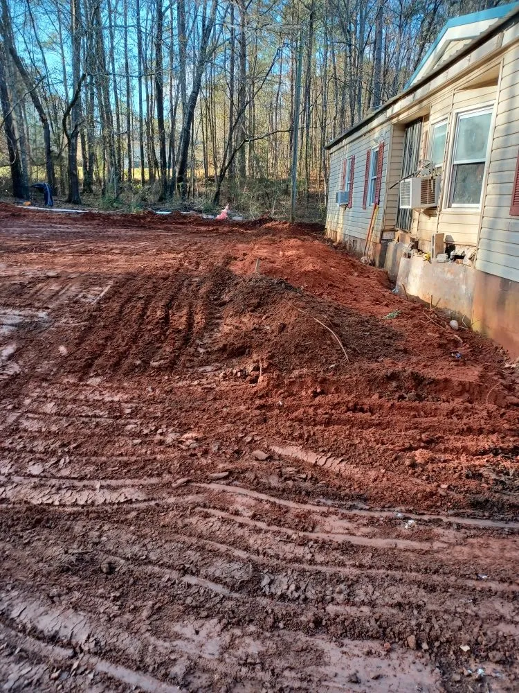 Slide of Clog Dog Digger