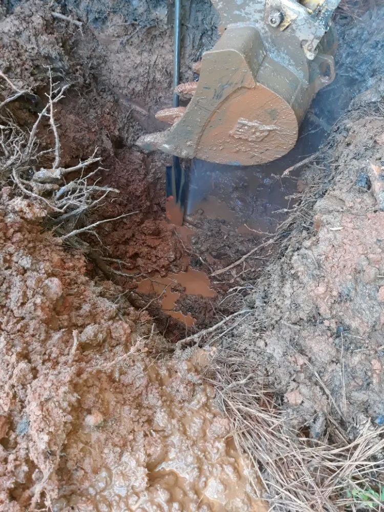 Slide of Clog Dog Digger