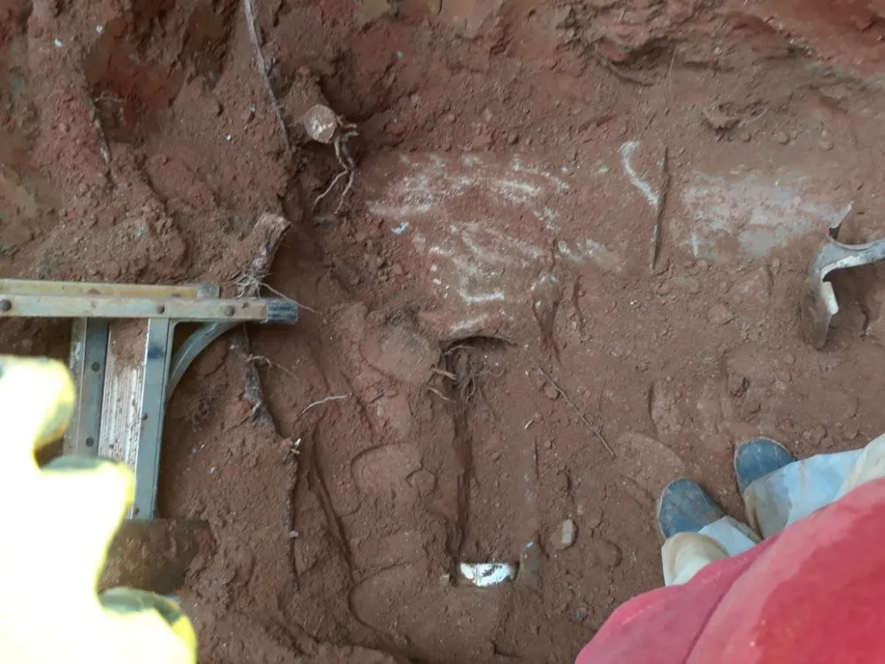 Slide of Clog Dog Digger