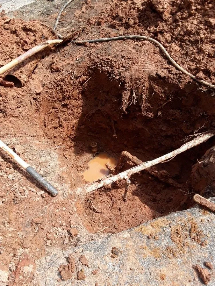 Emergency drain cleaning service in Locust Grove, GA - Clog Dog Digger