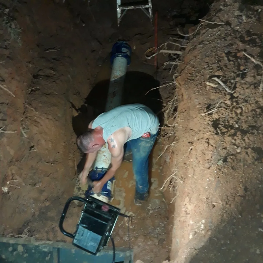 Slide of Clog Dog Digger