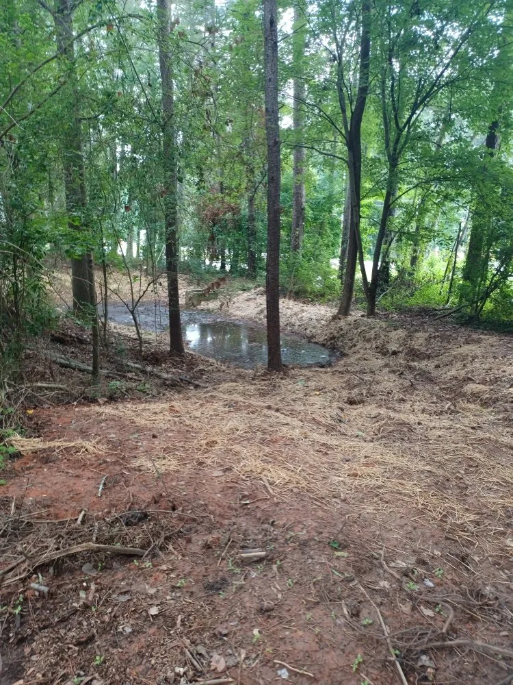 Slide of Clog Dog Digger