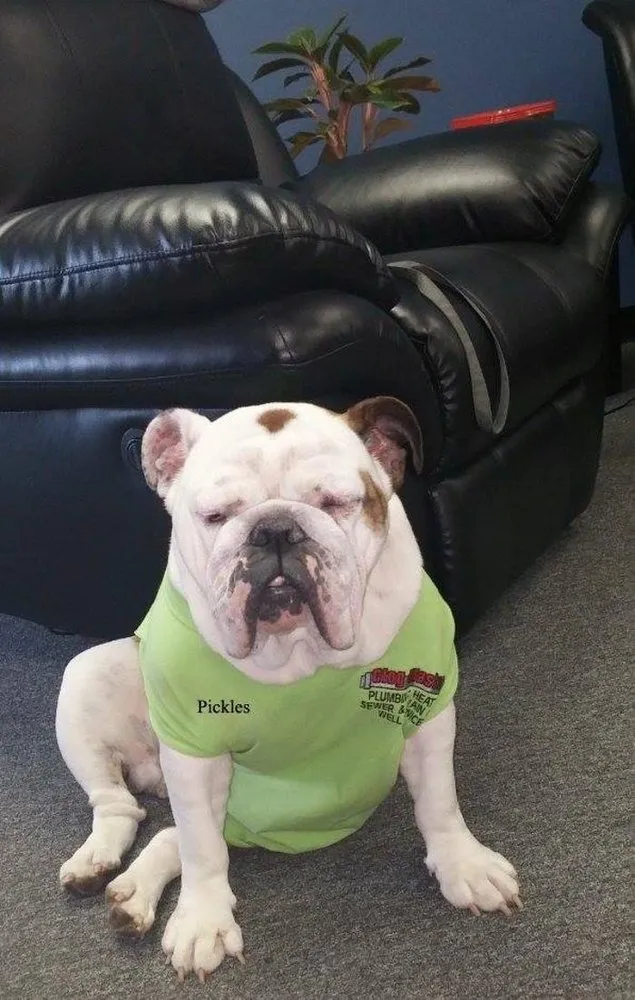 Slide of Clog Master