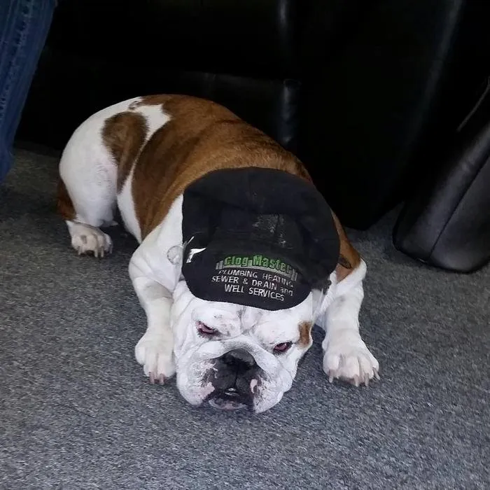 Slide of Clog Master