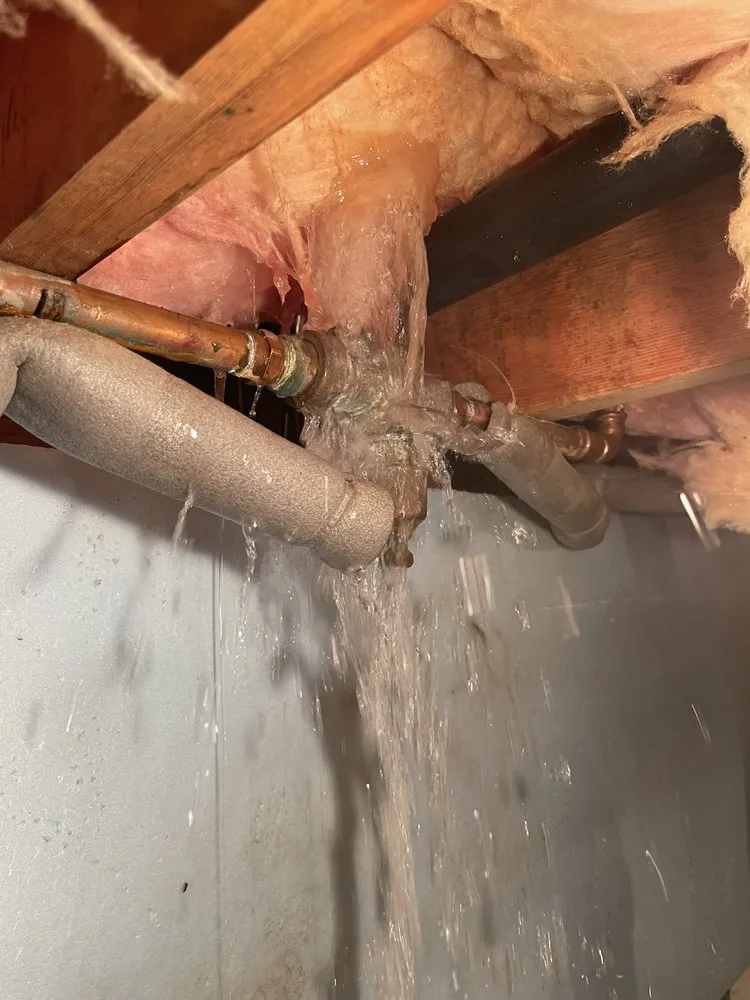 Slide of Clog Masters