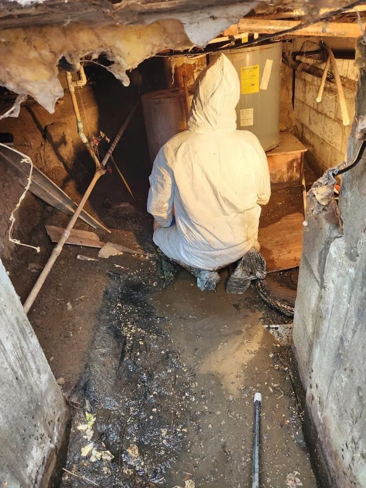 Slide of Clog Masters