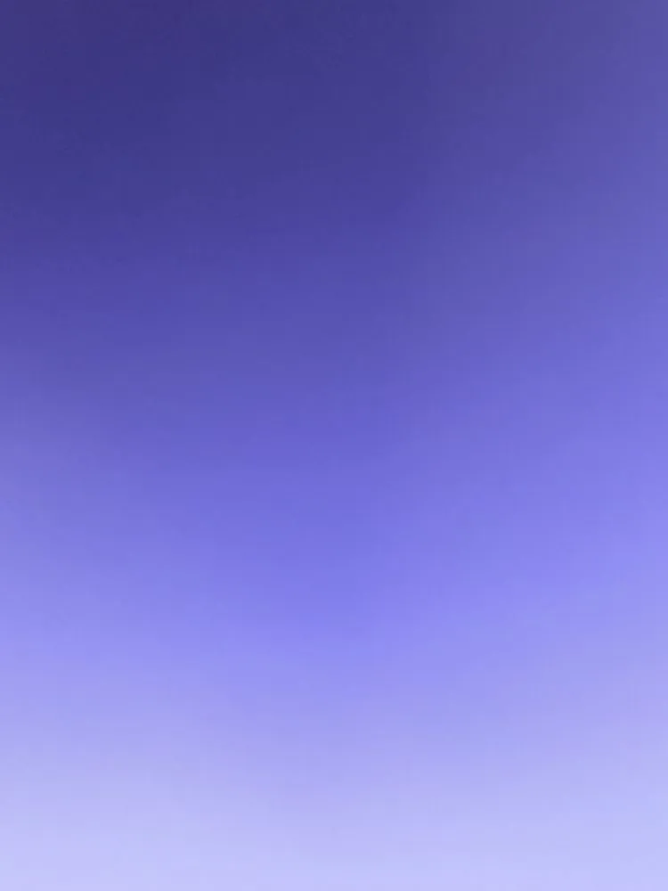 Slide of Clog Wizard Nepa