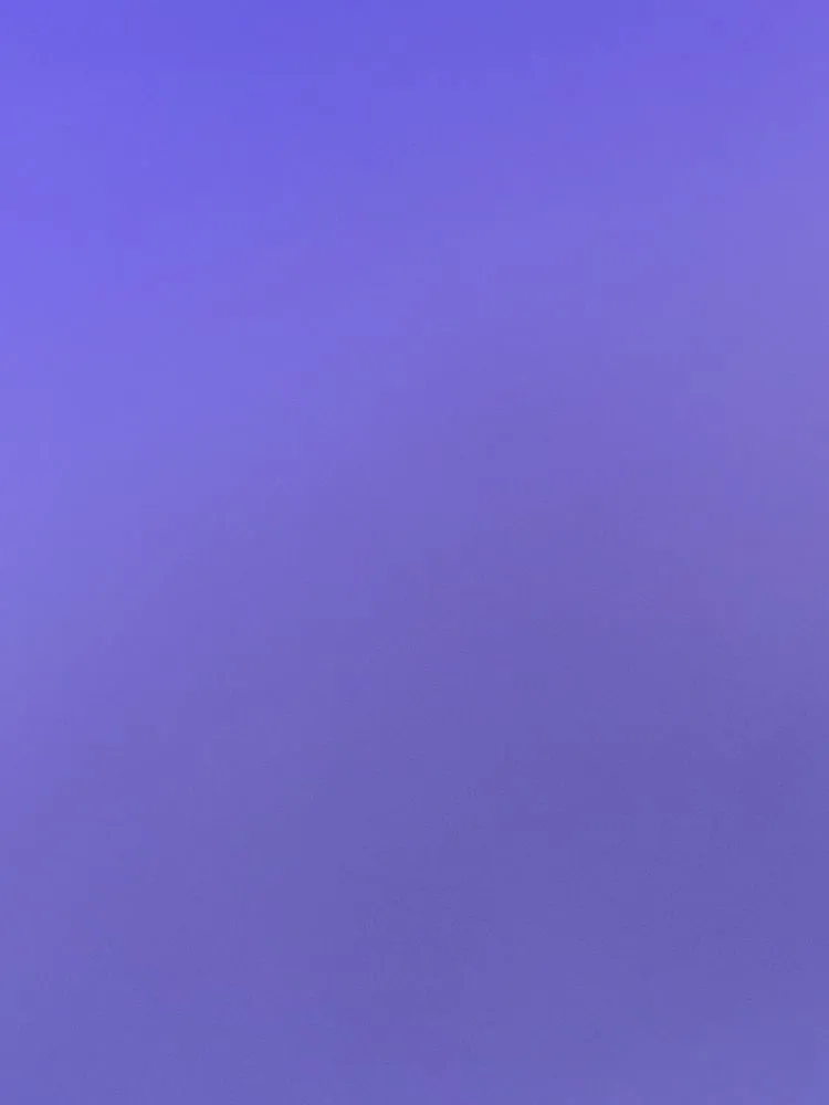 Slide of Clog Wizard Nepa