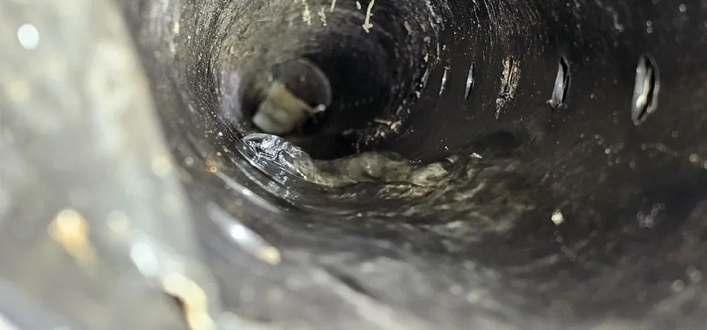 Slide of Clog Wizard Nepa