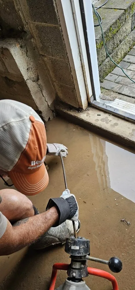 Slide of Clog Wizard Nepa