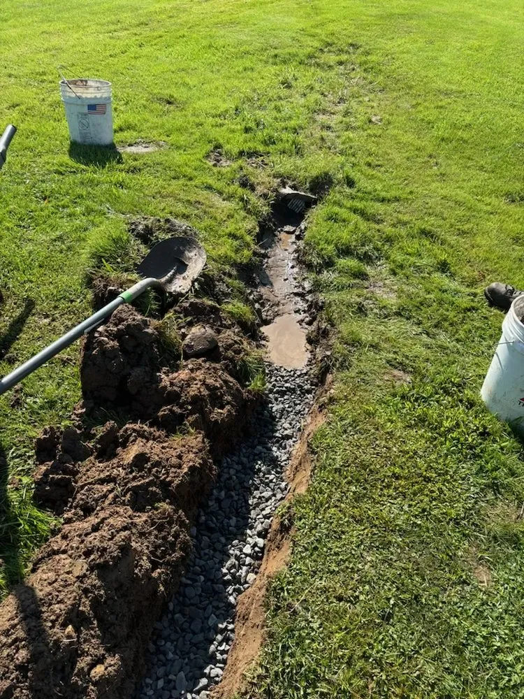 Slide of Clog Wizard Nepa