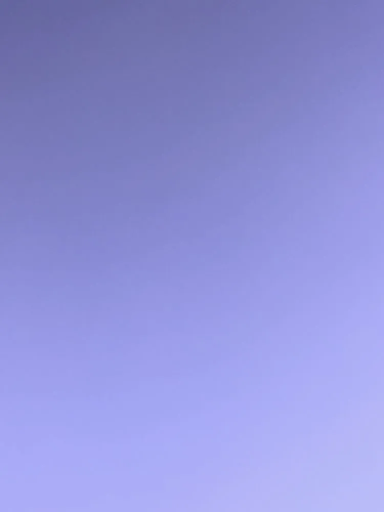 Slide of Clog Wizard Nepa