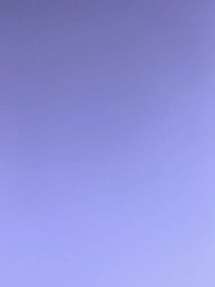 Slide of Clog Wizard Nepa