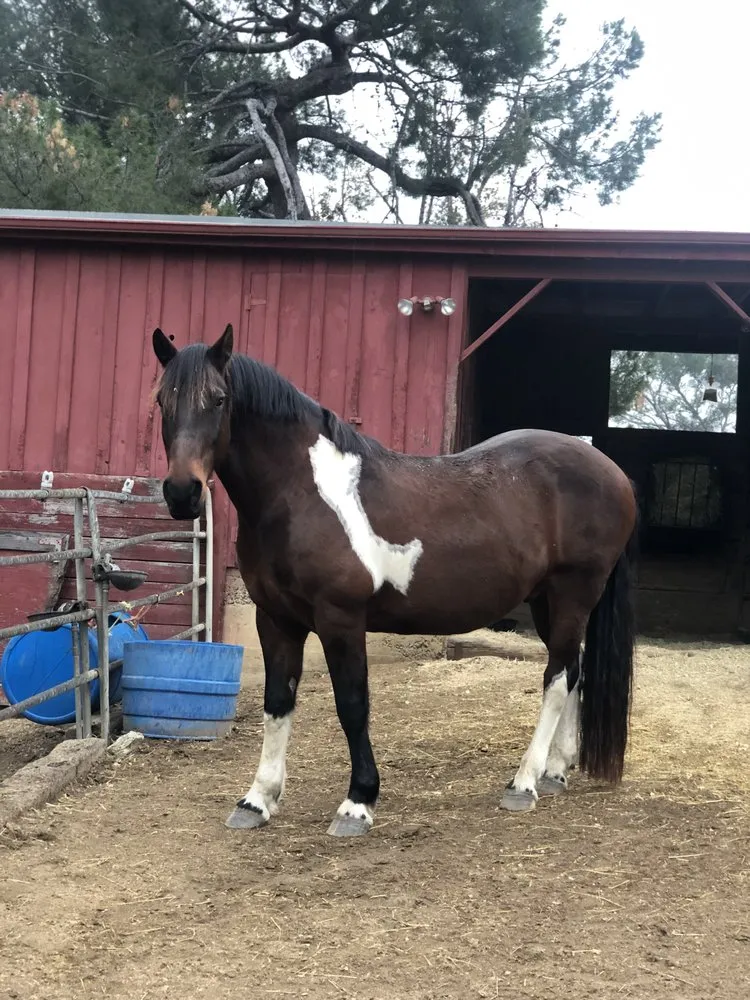 Slide of Clogbusters Plumbing & Repair Services