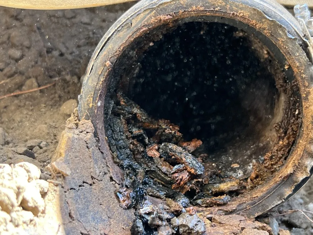 Slide of Clogfather Plumbing