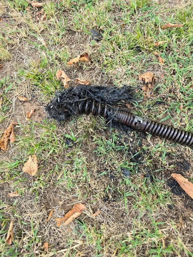 Slide of Clogg Crunchers