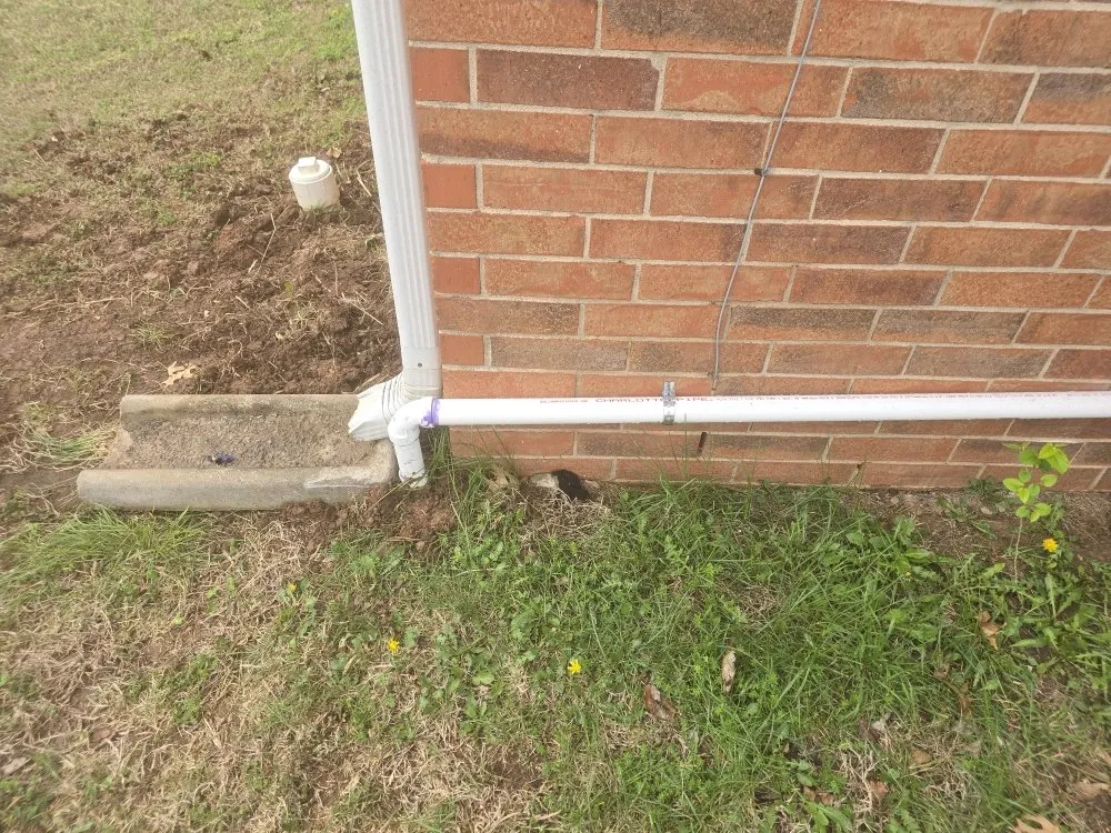 Slide of Clogg Crunchers