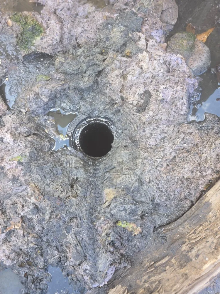 Slide of Clogg Crunchers