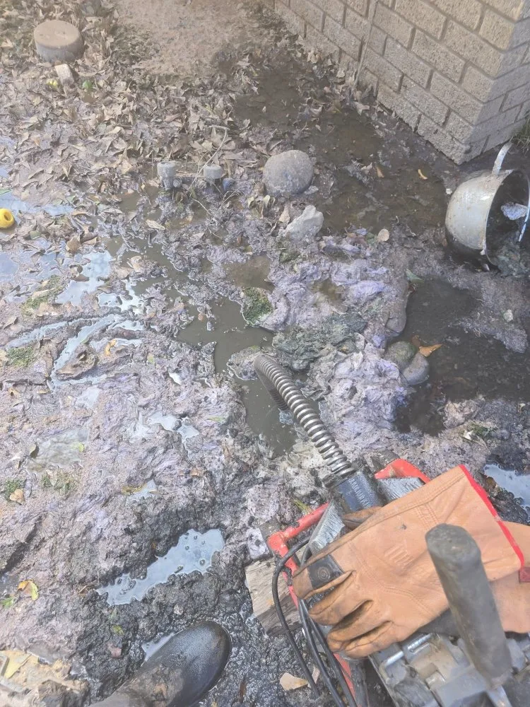 Slide of Clogg Crunchers