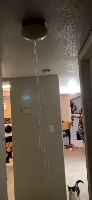 Slide of Clogged Sewer 911