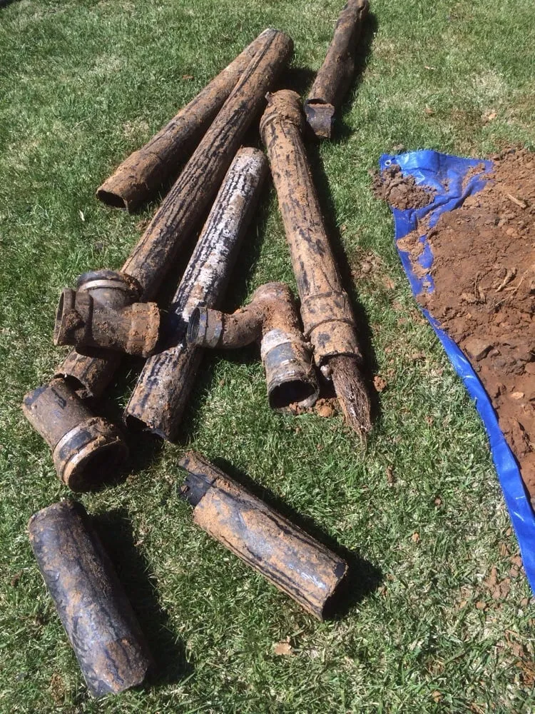 Slide of CloggMasters