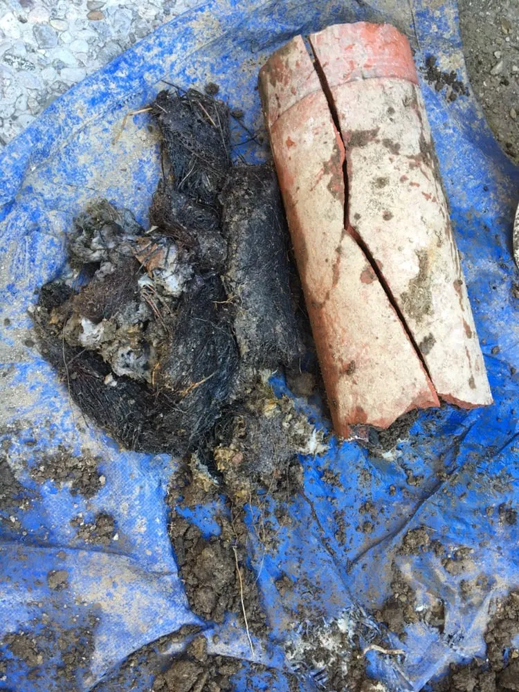 Slide of CloggMasters