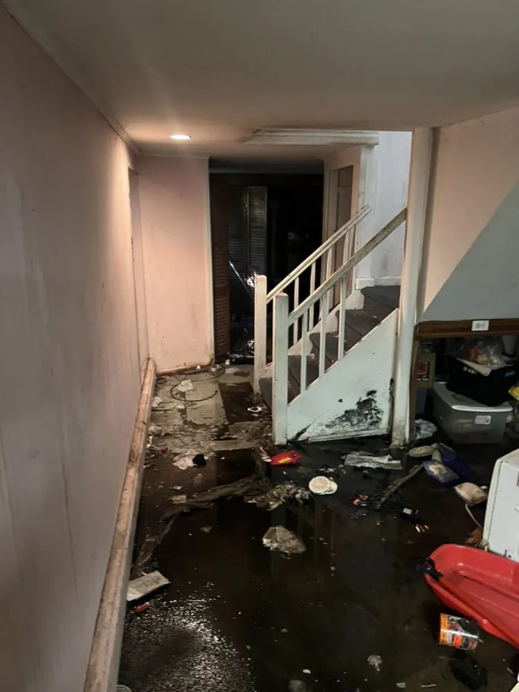 Slide of Clogs For US