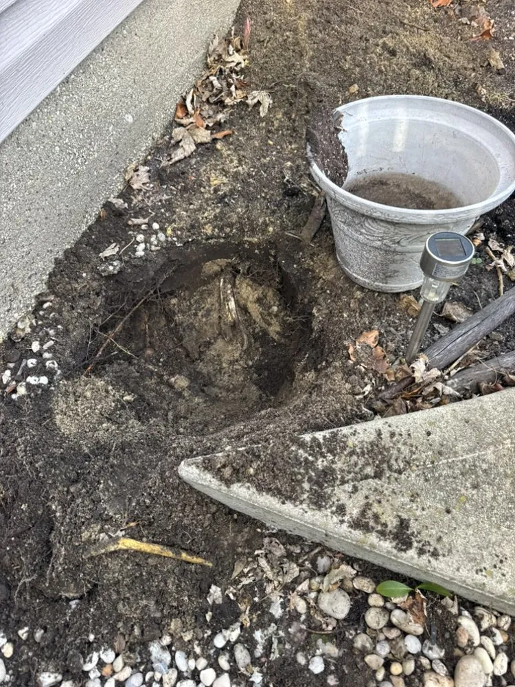 Slide of Clogs For US