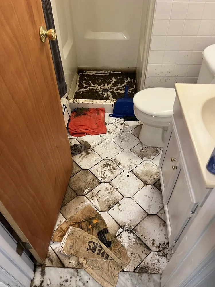 Slide of Clogs For US