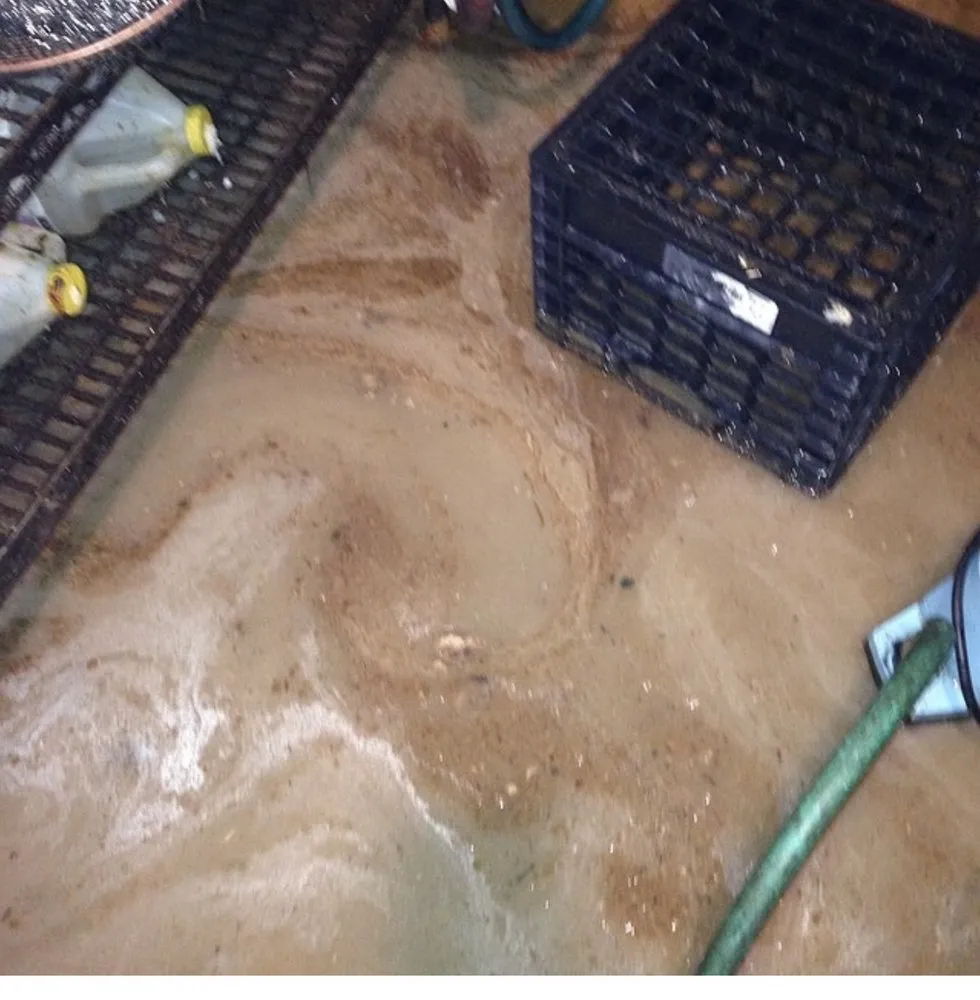Top-rated pipe repair in East Rockaway, NY by Clogs For US