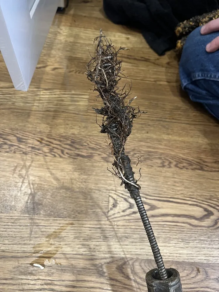 Slide of Clogs For US