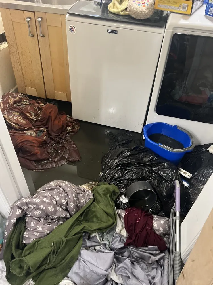 Slide of Clogs For US