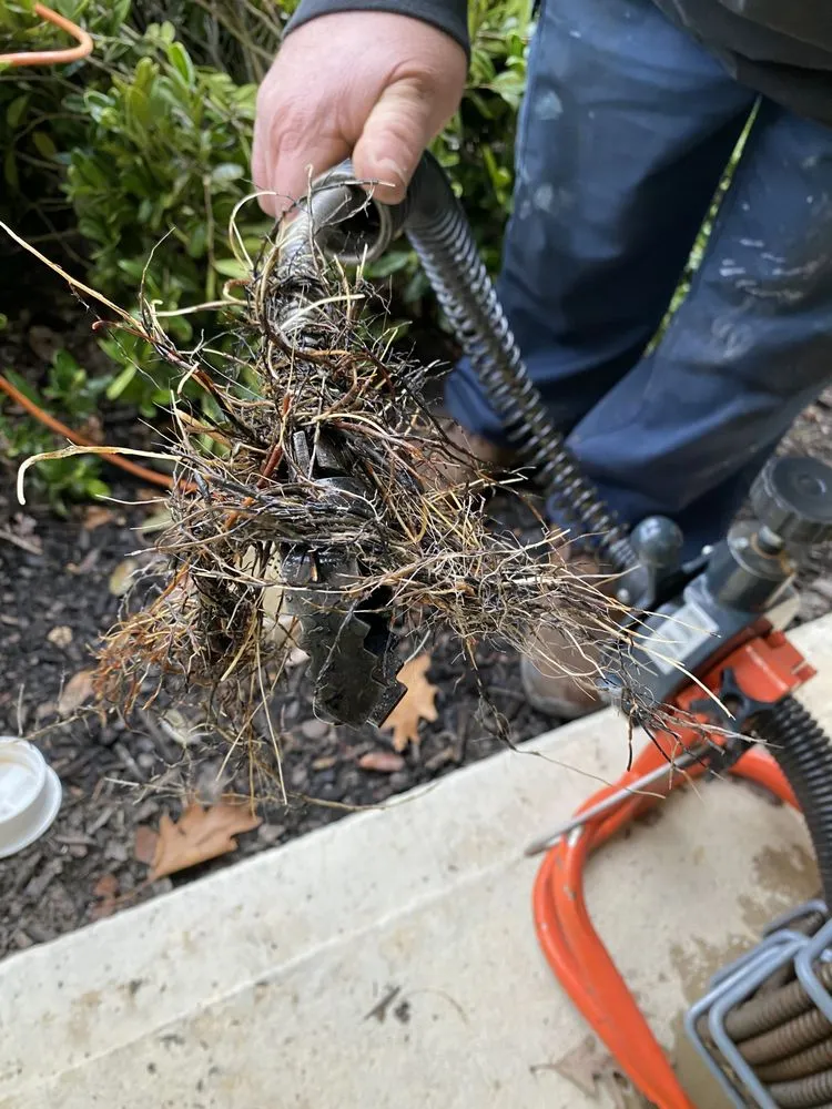 Slide of CLS Plumbing