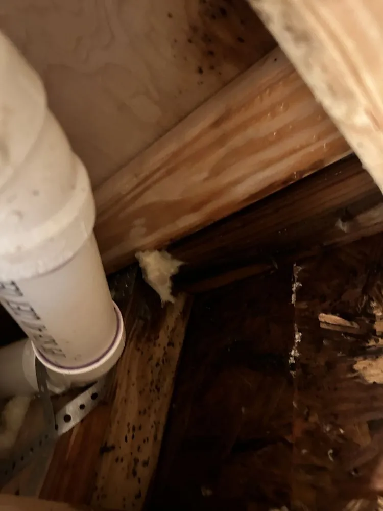 Emergency water heater service for homes in Falls City, TX by CM Mechanical