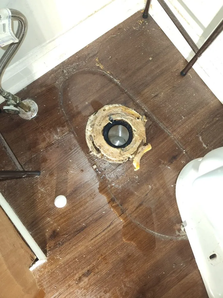 Slide of CMAC Drain Cleaning