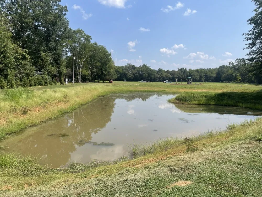 Slide of CMO Services