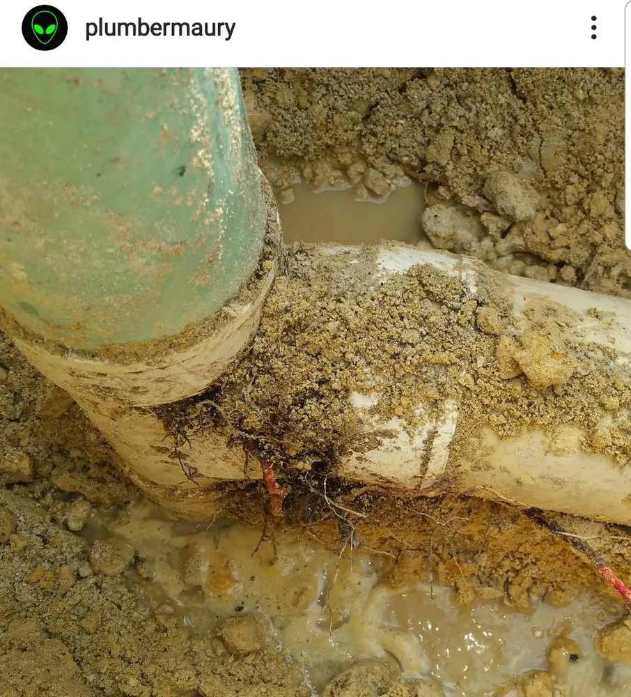 Slide of CMS Plumbing