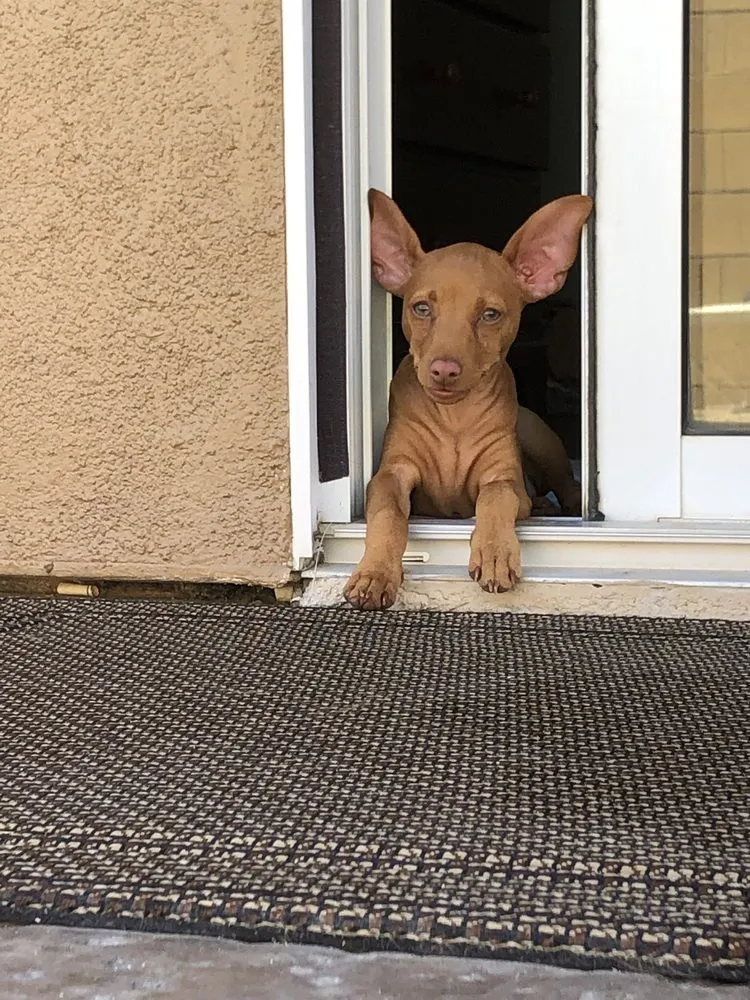 Slide of Coachella Valley Plumbing Heating & Air