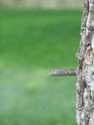 Slide of Coastal Irrigation & Plumbing