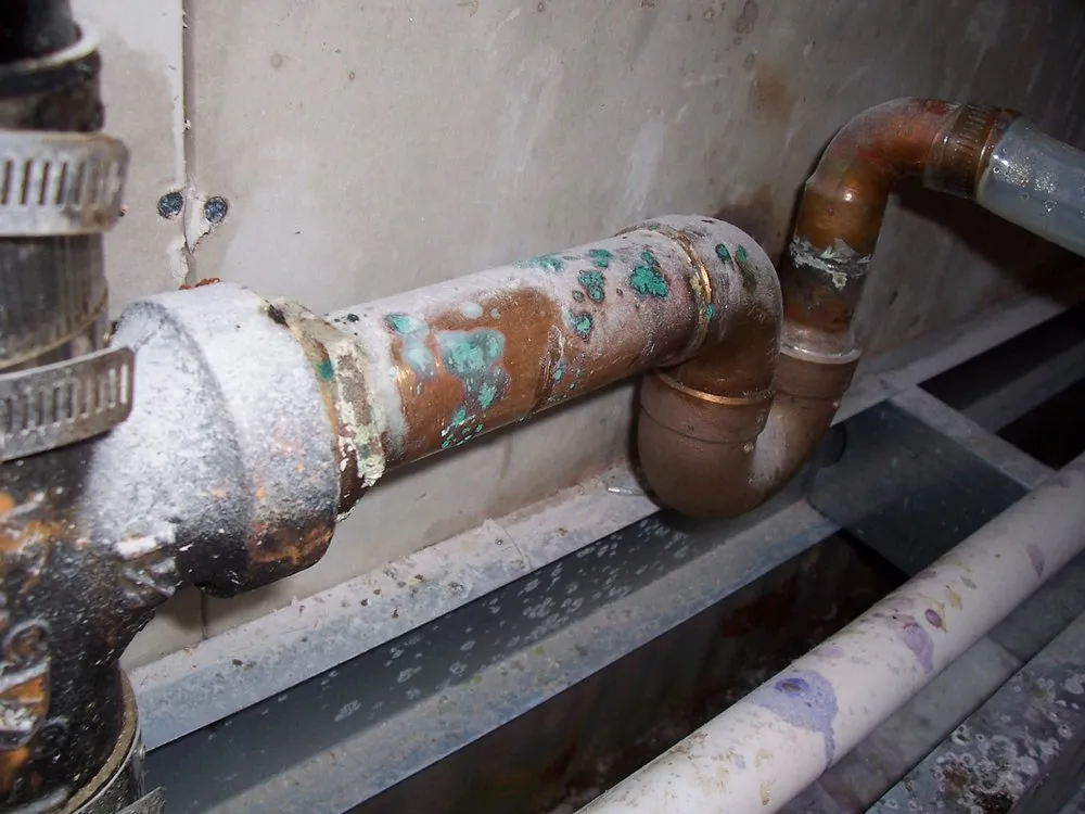 Slide of Coastal Plumbing of South Beach