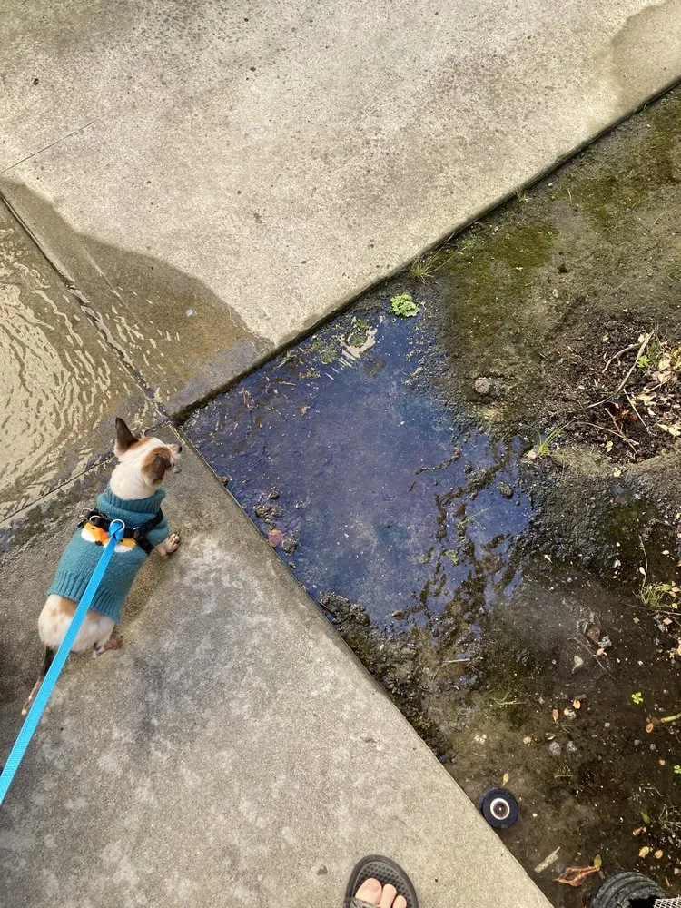 Slide of Coastal Plumbing